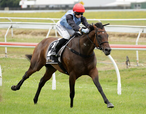 Clear Conscience clears maiden in style