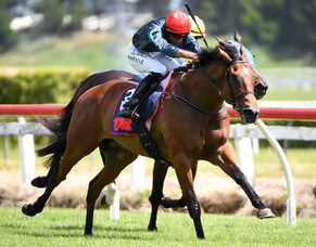 Pericles wins Open Handicap at Te Rapa