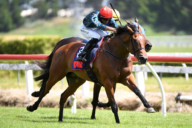Pericles winning the Lodge Real Estate Mile Open Handicap at Te Rapa on Saturday - Photo: Kenton Wright (Race Images)