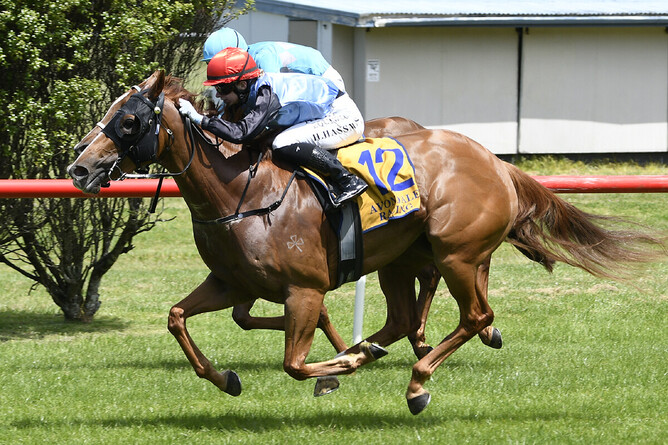 Zerre breaking through for her maiden victory at Avondale on Wednesday - Photo: Kenton Wright (Race Images)