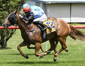 Patience a virtue with promising mare