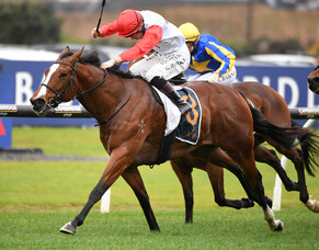 Gerard shoots for back-to-back Sartens