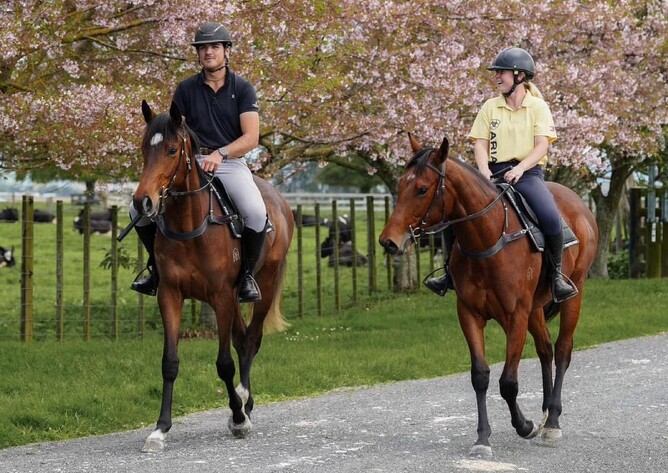 Jacob Thompson and Mya Beckett of Thompson Performance Horses - Photo: Supplied