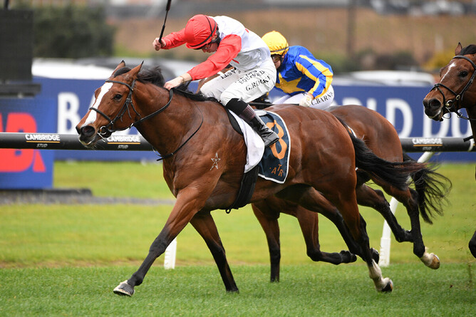 Affirmative Action takes out the Listed Sir Colin Meads Trophy at Ellerslie. - Photo: Kenton Wright (Race Images)