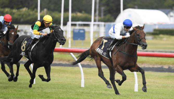 Savaglee wins the Group 2 Levin Classic (1400m) at Trentham. (Image: Peter Rubery)