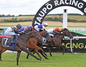 Now Not Never on potential derby path