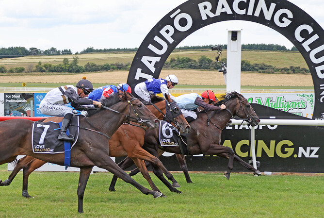 Now Not Never holds out the challengers to win at Taupo on Sunday - Photo: Peter Rubery (Race Images)