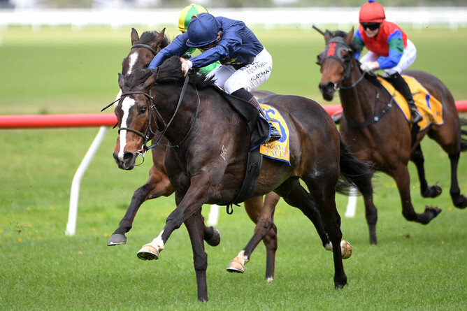 Vougeot was a stylish victor over the 2100m at Avondale on Wednesday afternoon - Photo: Kenton Wright (Race Images)