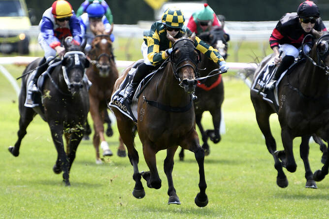 Dragon Blossom and Hayley Hassman were successful in the Entain/NZB Insurance Pearl Series bonus race at Rotorua on Friday. - Photo: Kenton Wright (Race Images)