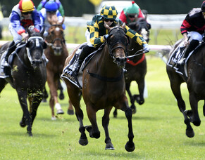 Blossoming at the right time