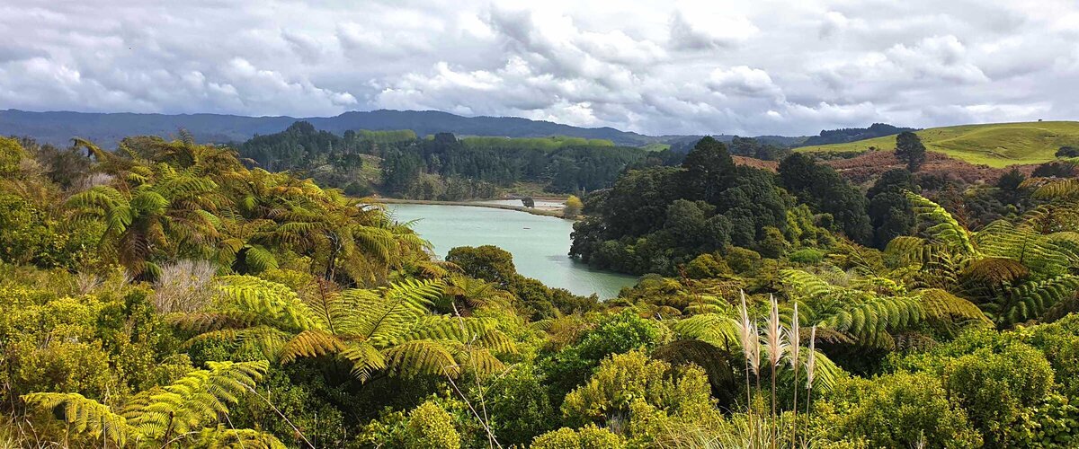 Bay of Plenty | Triumph Riders Motorcycle Club