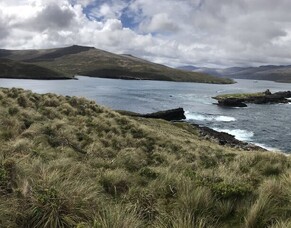 Auckland Islands/Motu Maha/Maungahuka