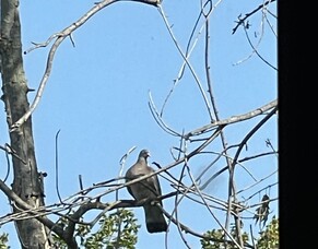 Chilling at the hotel and Preparing to visit the Loam family