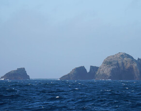 Bounty Islands / Hauriri