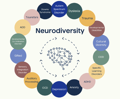 Neurodiversity Wheel Co-Conditions