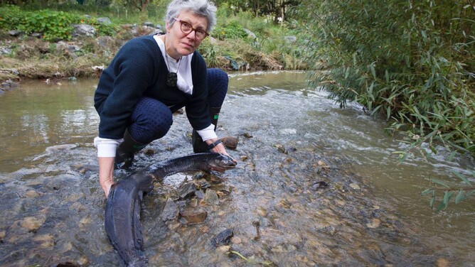 Friends of Owhiro Stream co-ordinator Martin Payne says restoring urban streams requires a dual approach - donning gumboots and gardening gloves to clean and replant, and a suit and tie for resource consent hearings, to oppose contaminants entering waterways. - ROBERT KITCHIN/FAIRFAX NZ