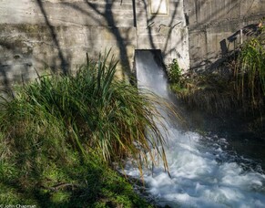 Raetihi Power Station