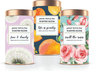 Posse Teevy Tea - ROCKETSPARK WEBSITE CONTENT, DESIGN + BUILD