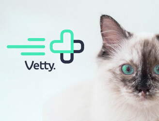Vetty - BRAND STRATEGY + BRAND IDENTITY DESIGN