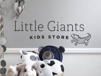 Little Giants - BRAND IDENTITY, WEBSITE, PACKAGING, PRINT