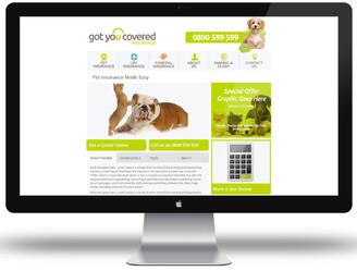 Got You Covered Insurance - BRAND IDENTITY, GRAPHIC + WEBSITE DESIGN