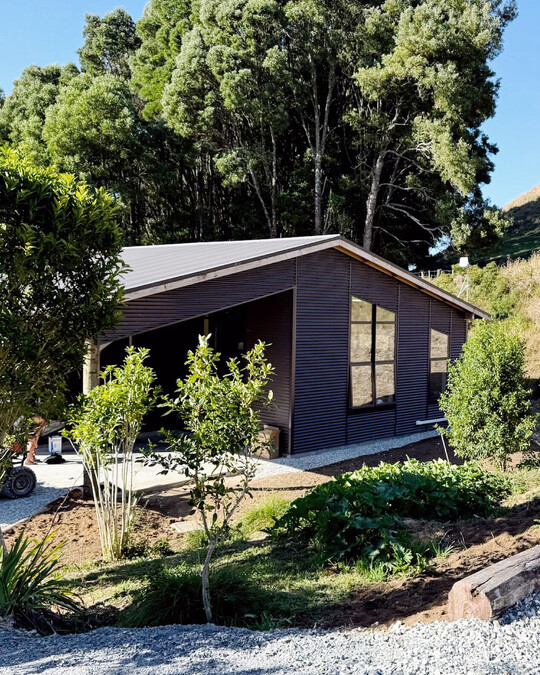 Office space with dark exterior cladding, expansive windows with dark joinery surrounded by vegetation. Coull Builders, Otorohanga.