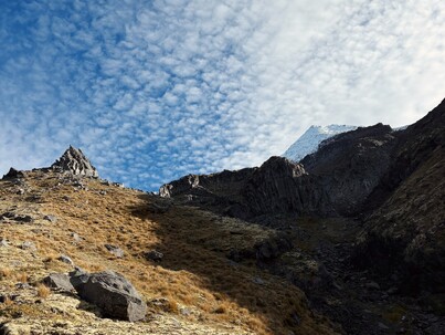 Employer-Funded Coaching