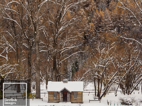 Arrowtown Old Gold Store Winter 16"x20"