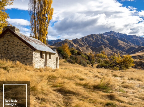 Macetown in Autumn 16"x20"