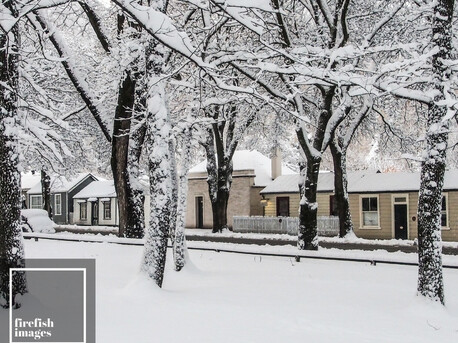 Arrowtown Winter Snow 16" x 20"