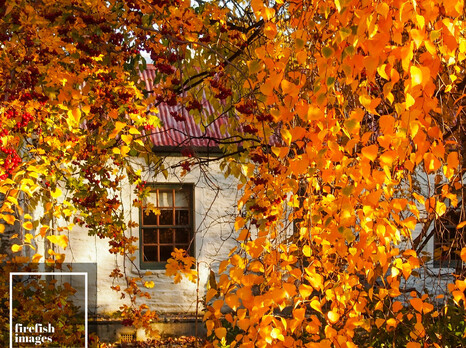 Crown Range Autumn Cottage 16"x20"