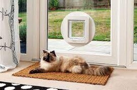 Pet Doors