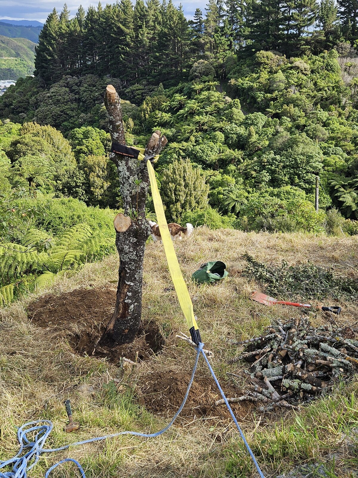 Hand Winch NZ/AU ComeaLong Cable Puller Tirfor Hand Winch NZ