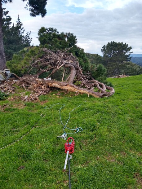 Ready for wood processing after winching