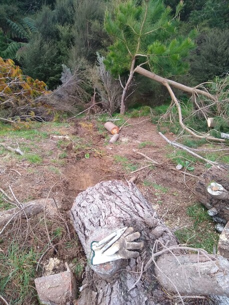 Dragged log - pulling with the 4WD wasnt possible due to lost traction