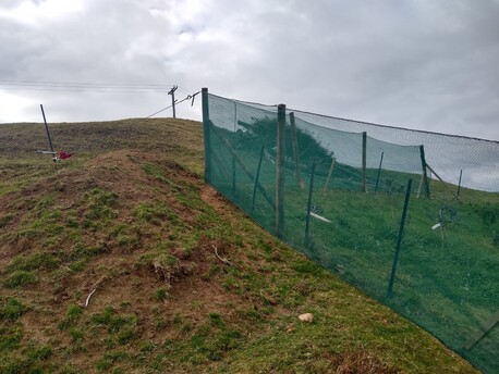 Straining shelterbelt