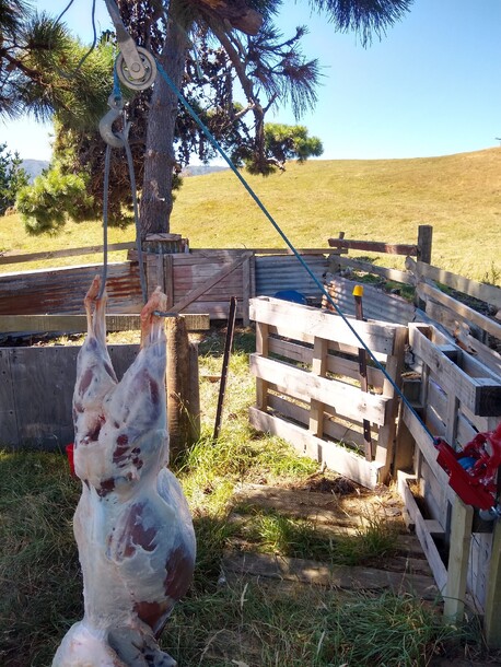 Handy for hunters, lifestylers and farmers to process their own meat