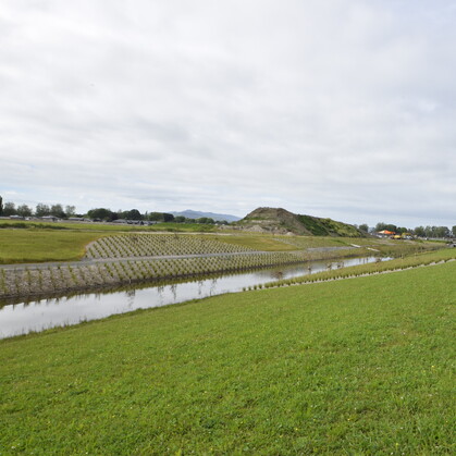 quality landscaping Cambridge, Waikato