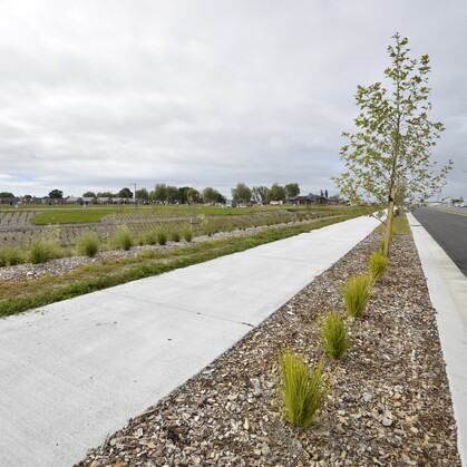 custom and quality landscaping in Cambridge, Waikato