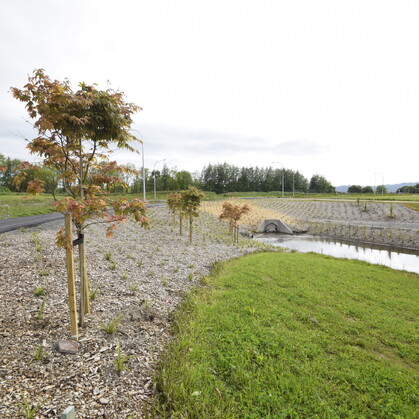 residential landscaping in Cambridge, Waikato