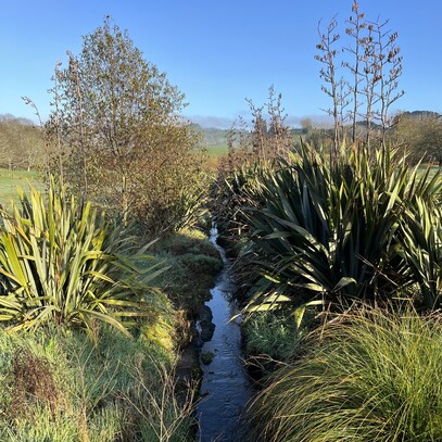 custom residential landscaping in Cambridge, Waikato