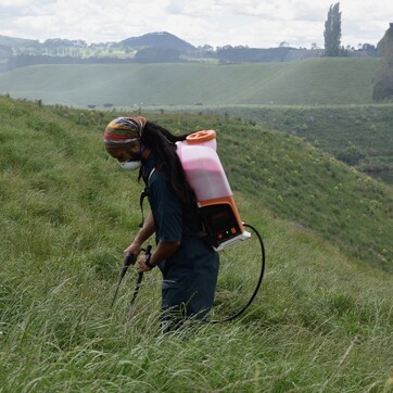weed spraying and spot spraying, Arapuni, Waikato