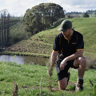 residential landscaping in Cambridge, Waikato