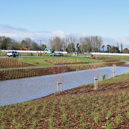 civil native planting in residential development, Cambridge