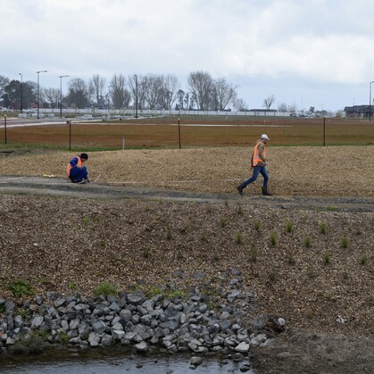 civil planting along swale in residential development, Waikato