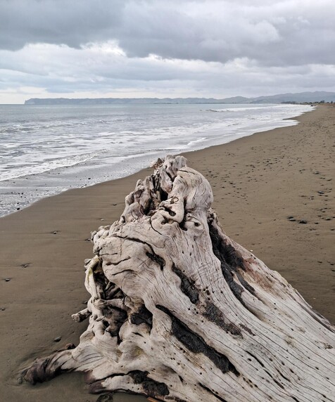 Rarangi Beach