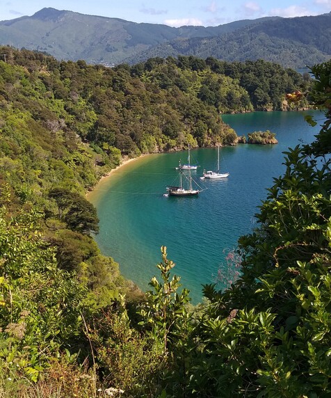 Marlborough Sounds