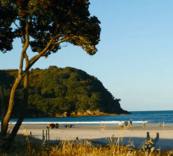 HOLIDAY HOMES