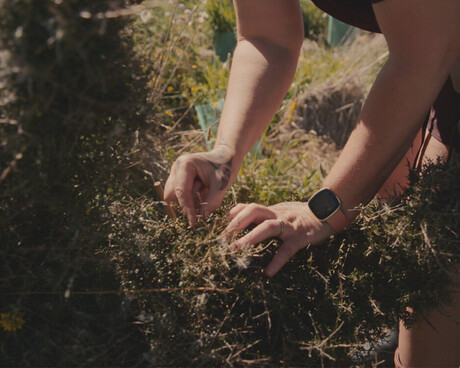Eco-sourcing