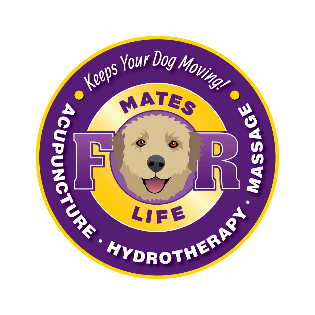 Our Partners Critter Care Waikato our-partners-critter-care-waikato